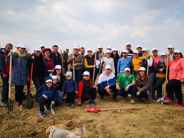 FINEXPERT - BOSCOLO CONSULTING7