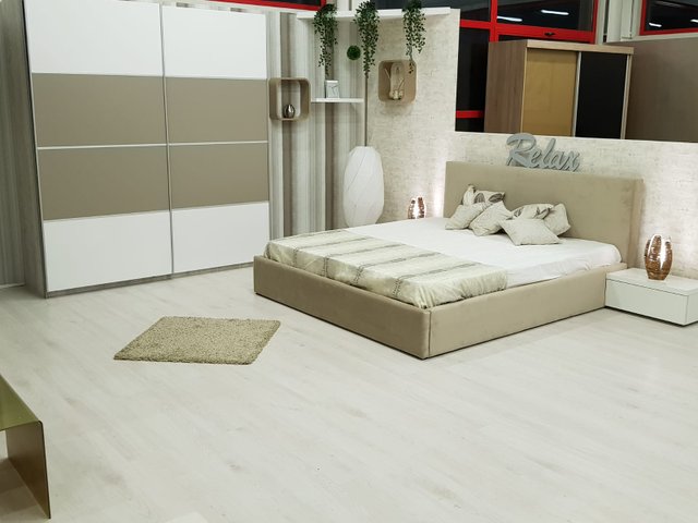 STAER INTERNATIONAL2