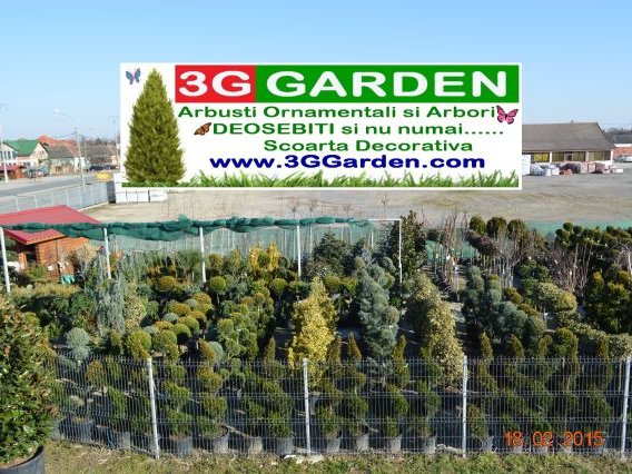 3G GARDEN7