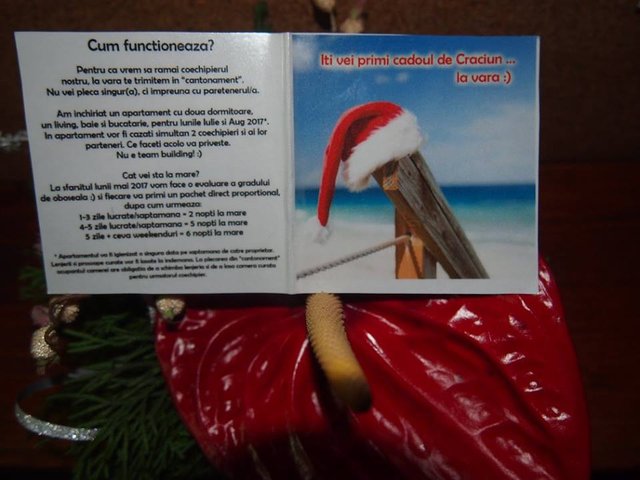 ASOCIATIA PRIMII PASI CATRE EXCELENTA3