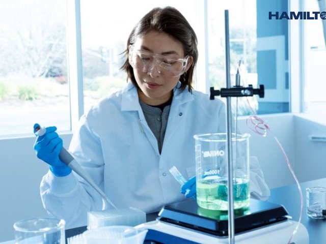 Hamilton Central Europe11