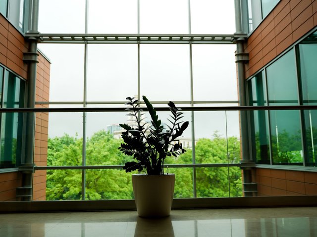 British American Tobacco Trading1