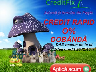 Credit Fix IFN2