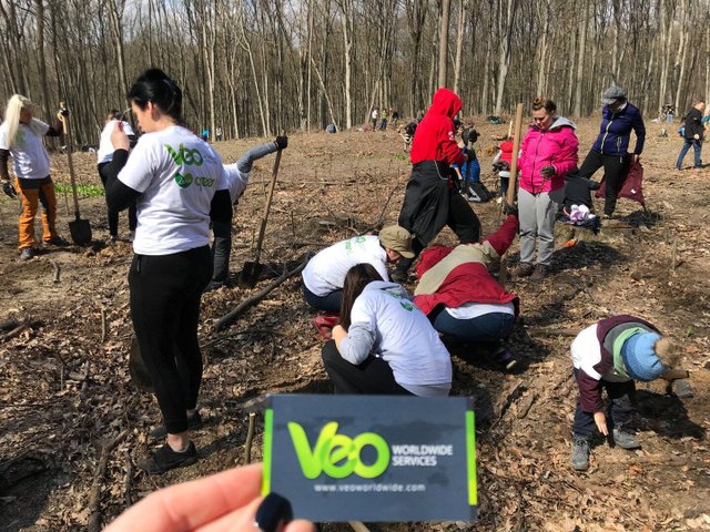 VEO Worldwide Services3