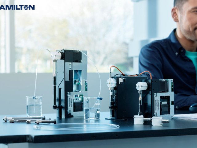 Hamilton Central Europe5