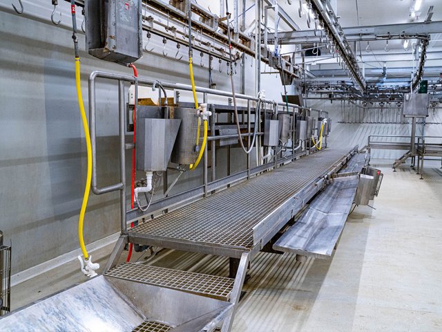 GLOBAL MEAT PROCESS4