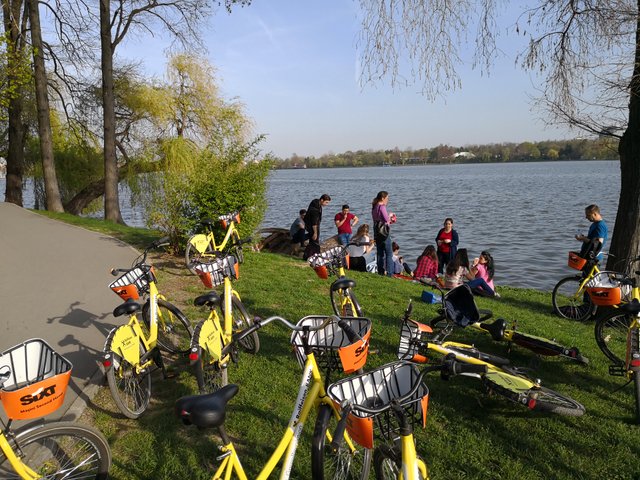 FINEXPERT - BOSCOLO CONSULTING3