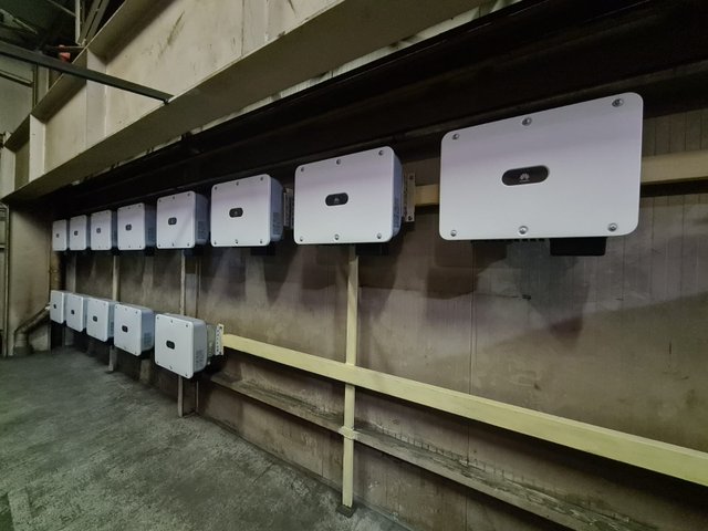 Green Seiro Montage17