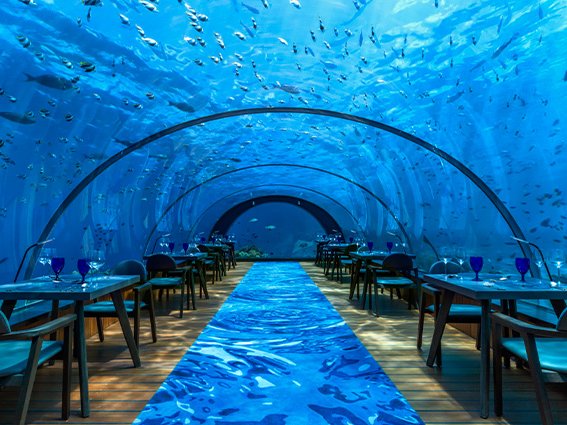 Henegar Daniel Lucian3