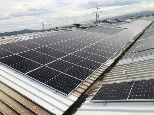 Green Seiro Montage16