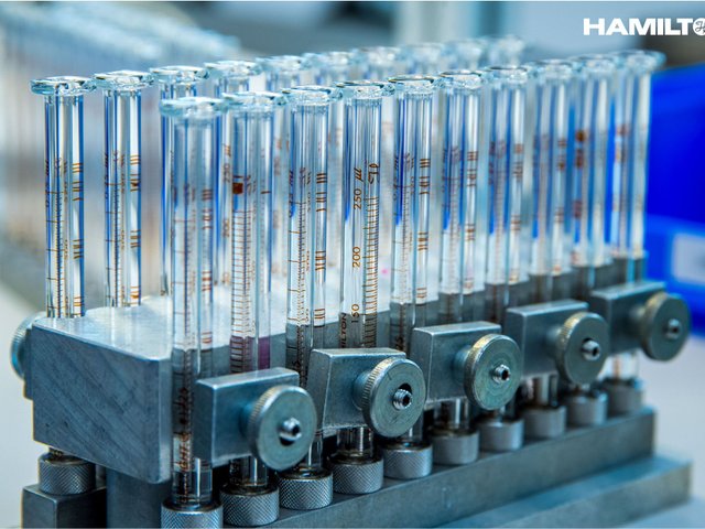 Hamilton Central Europe13