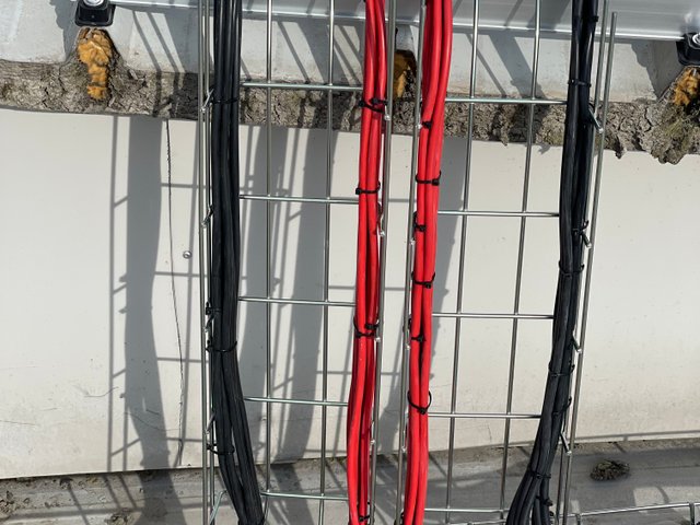 Green Seiro Montage15