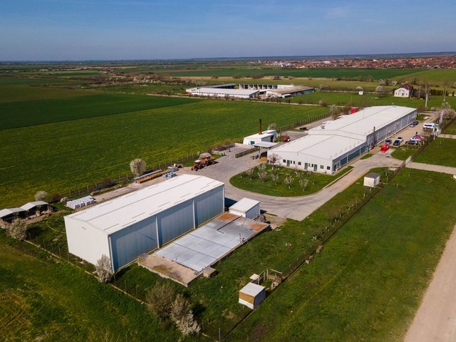 GLOBAL MEAT PROCESS2