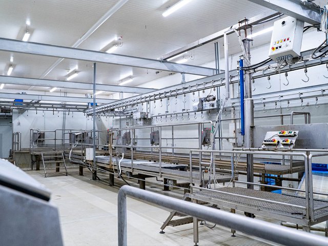 GLOBAL MEAT PROCESS5