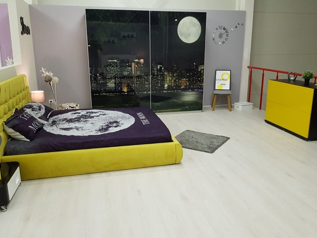 STAER INTERNATIONAL3