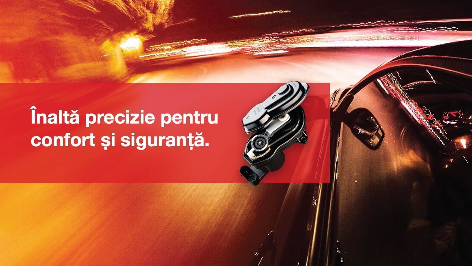 51088738_977256455806650_219120452528766976_o