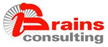 Brains Consulting SRL