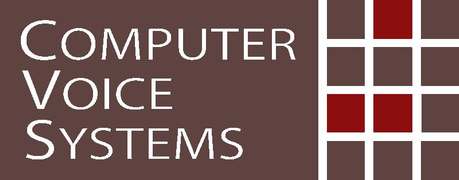 Computer Voice Systems Romania