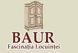 SC Fascinatia Locuintei SRL