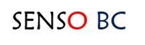 Senso Business Consulting