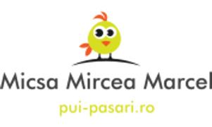 SC Micsa Mircea Marcel SRL