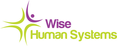 SC Wise Human Systems SRL