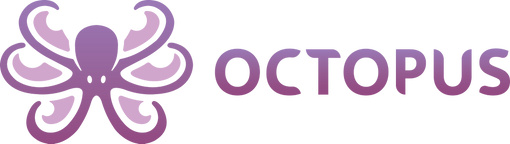 Octopus Digital Srl