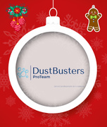 DUSTBUSTERS PROTEAM