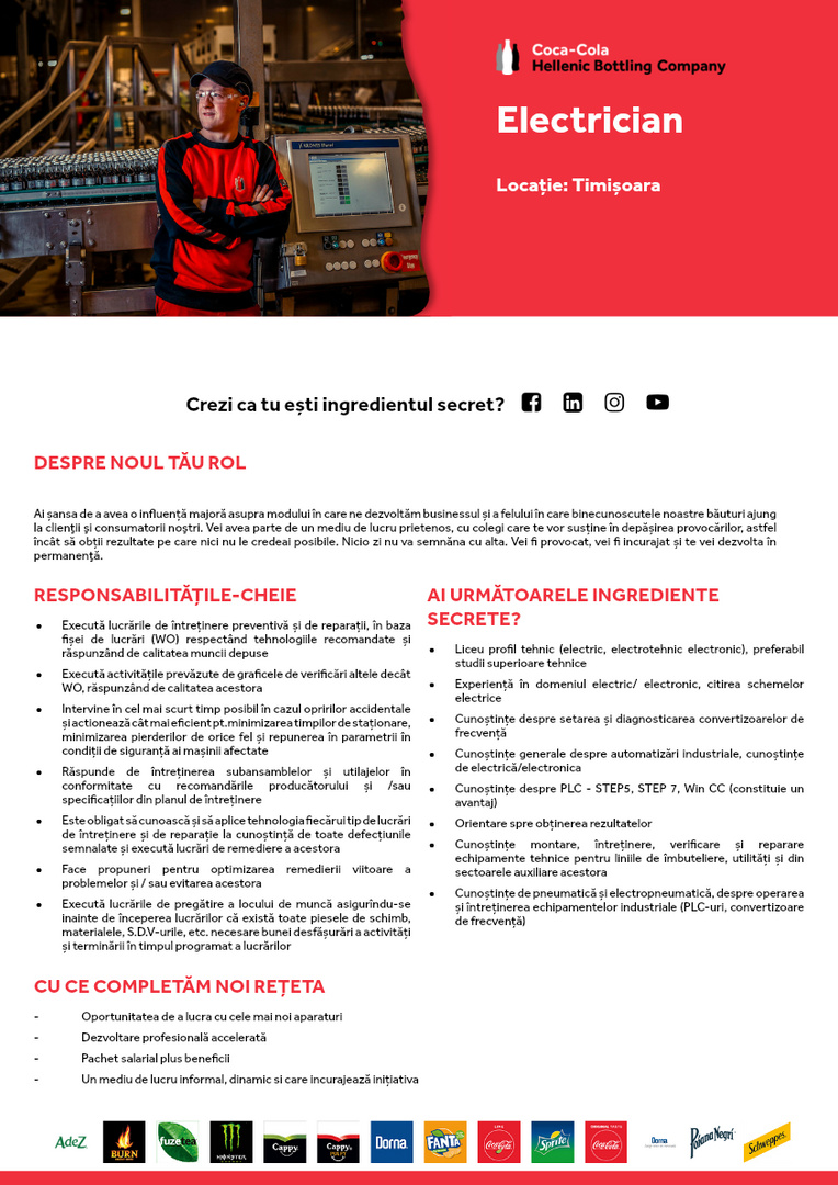 JobDescription Electrician Timisoara