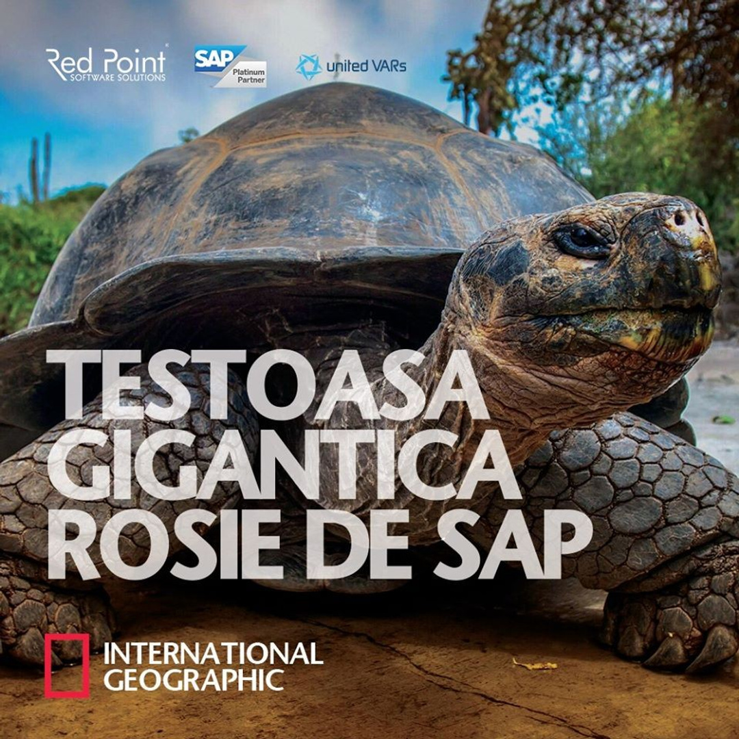 Consultant SAP Senior