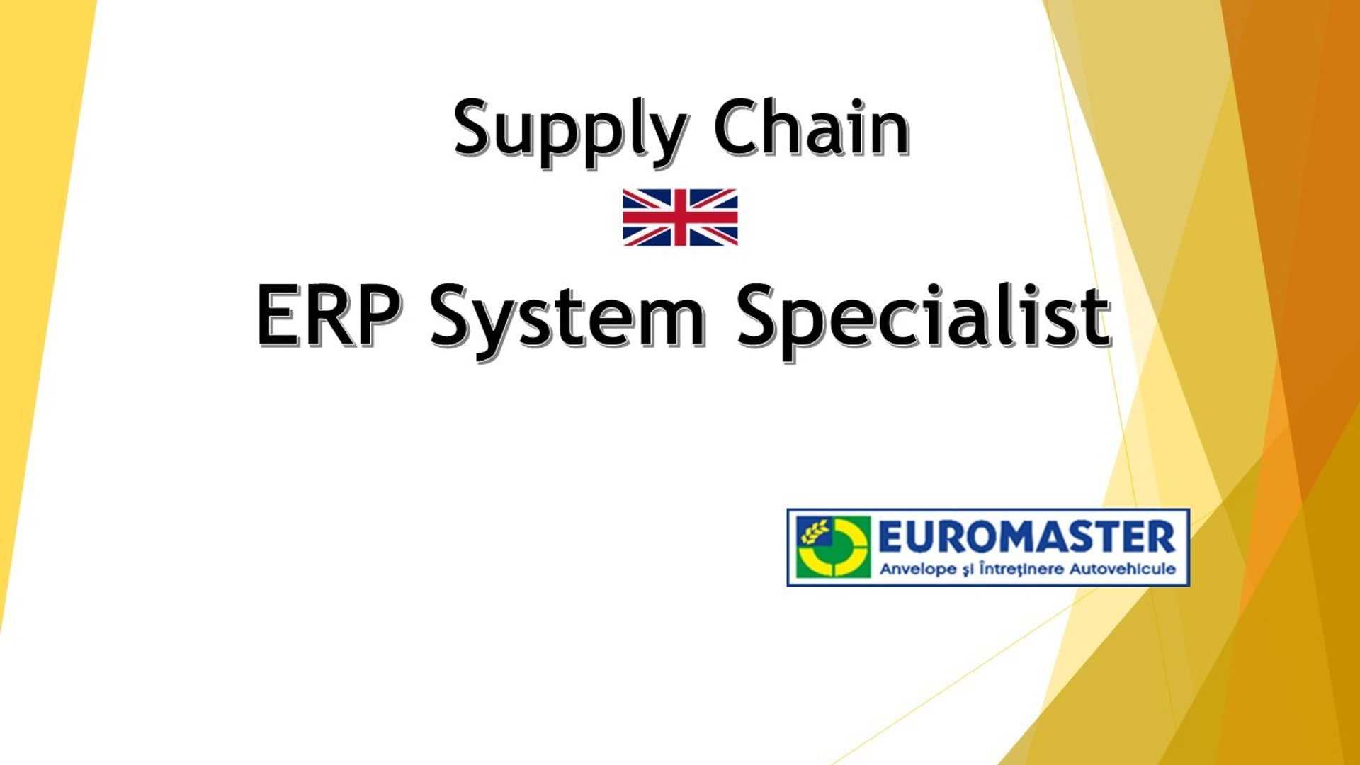 ERP System Specialist