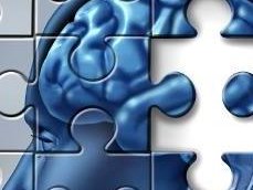 INTELTIM MANAGEMENT1