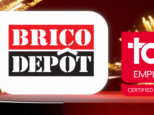 Brico Depôt3