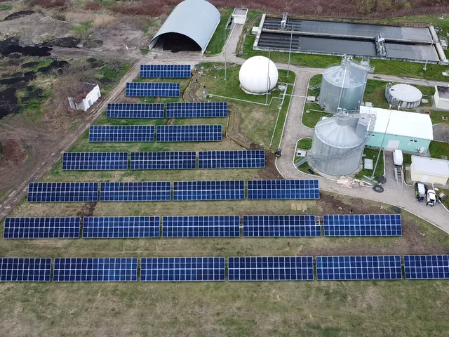 Green Seiro Montage5