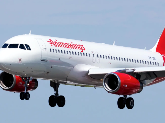 ANIMA WINGS AVIATION1