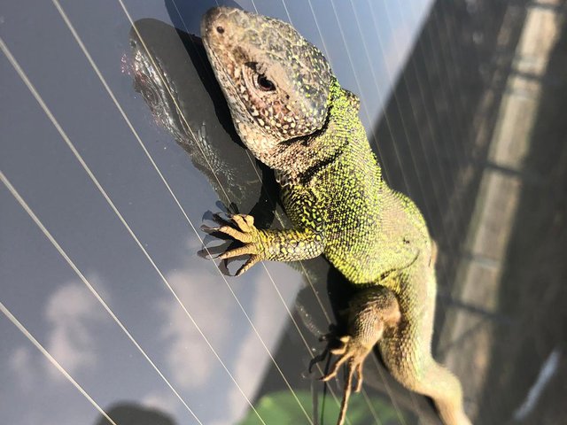 ECI PROJECT MANAGEMENT CONSULTING4