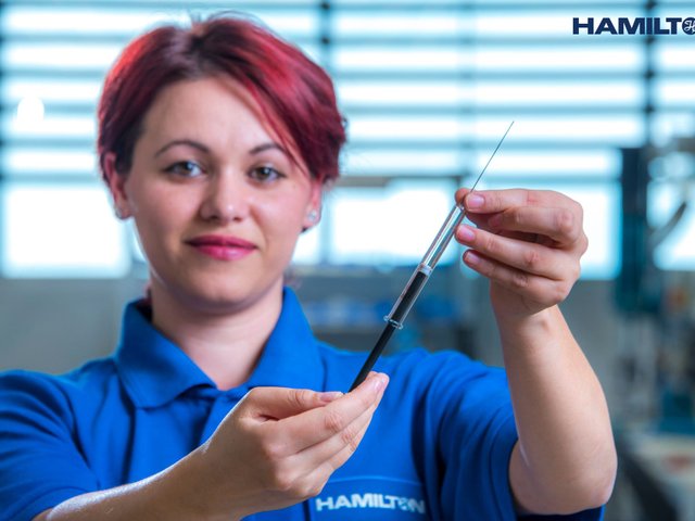 Hamilton Central Europe7