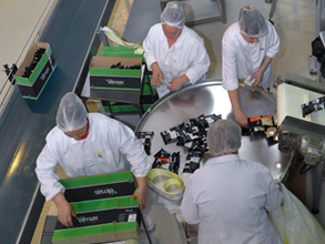 GOLDEN FOODS SNACKS2