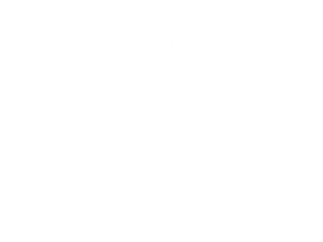 VASILESCU DEJAN - Societate Profesionala de Avocati cu Raspundere Limitata"1