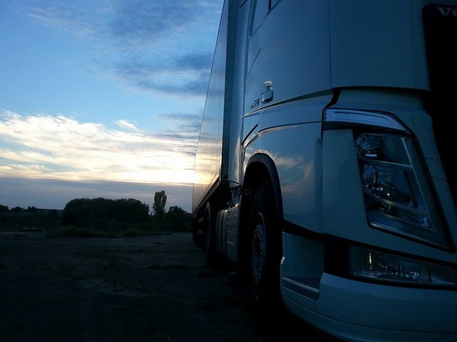 TIMISOARA LOGISTIC SOLUTIONS2