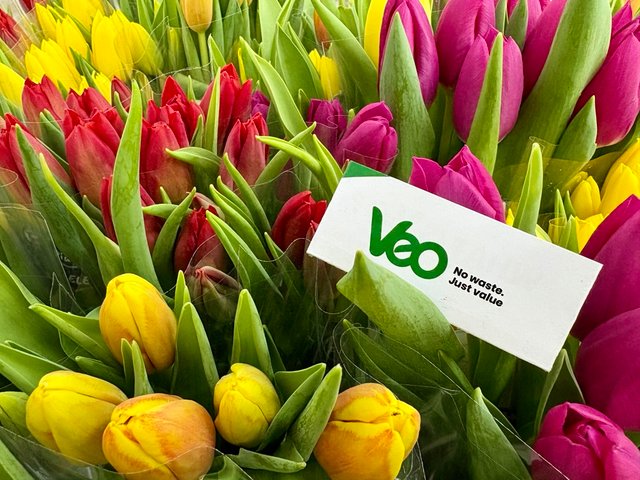 VEO Worldwide Services11