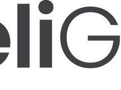 DELI GROUP PROFESSIONAL SERVICES1