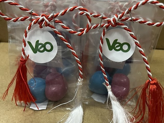 VEO Worldwide Services12